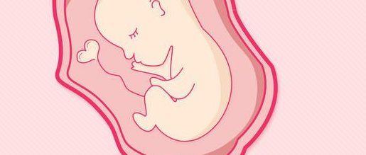 济南市哪家试管婴儿好（济南哪里做试管婴儿的成功率较高）