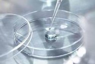 疫情期间试管婴儿医院如何保证安全？