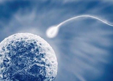 5个胚胎养囊胚成功率多少？5个胚胎养囊没有成功是什么情况