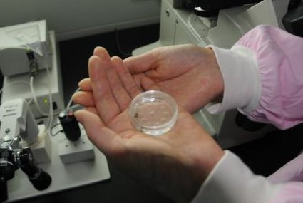 试管移植冻胚前打降调针多久后就可以做移植手术？